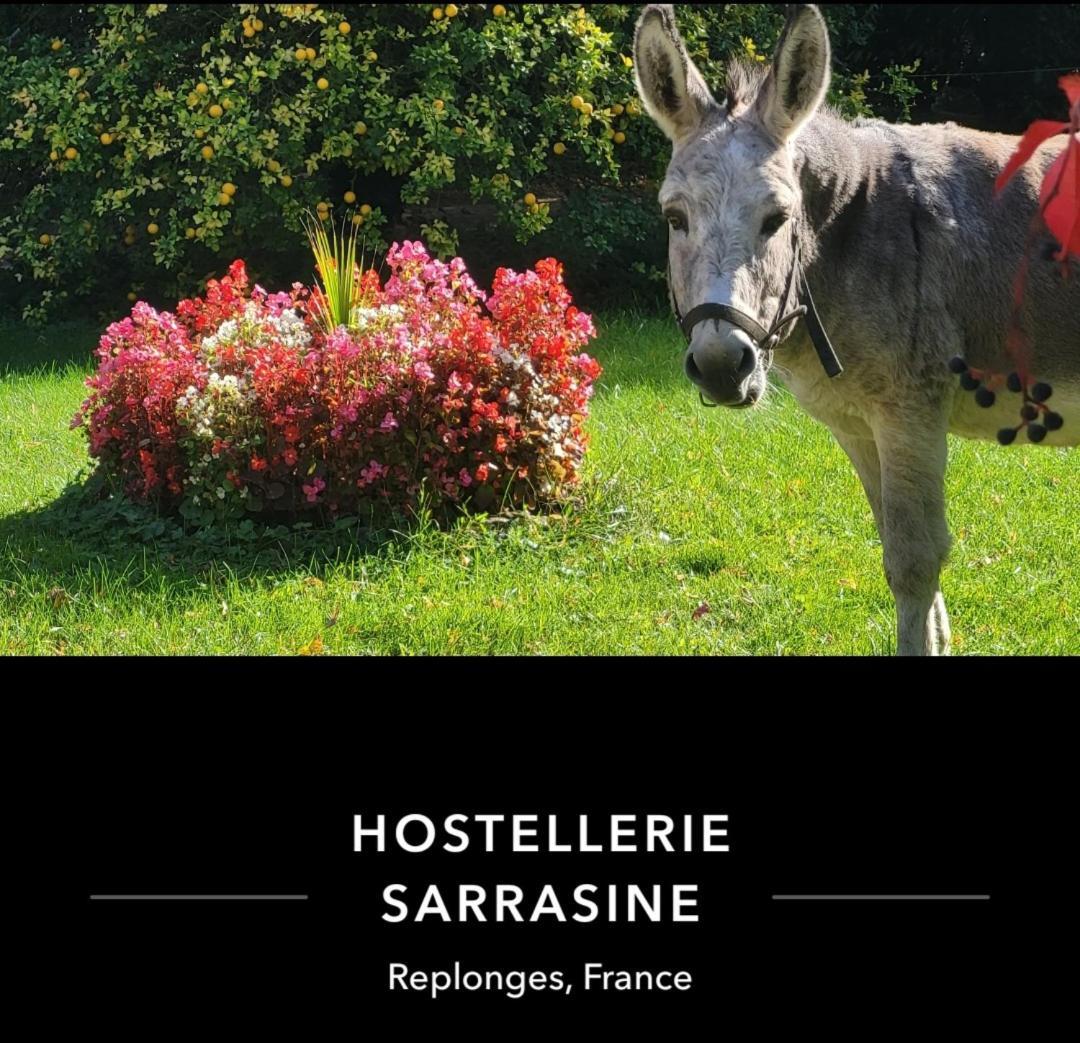 Hostellerie Sarrasine - Macon Est Replonges Dış mekan fotoğraf