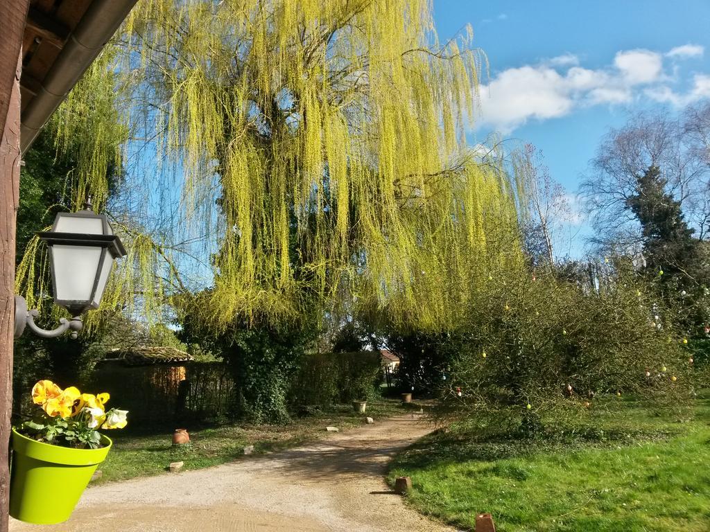 Hostellerie Sarrasine - Macon Est Replonges Dış mekan fotoğraf