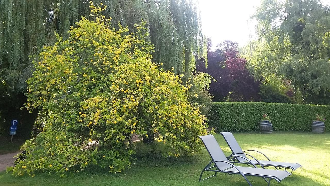 Hostellerie Sarrasine - Macon Est Replonges Dış mekan fotoğraf